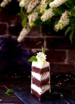 [Xleb.tartin] Черемуховый торт (2026)_0.png